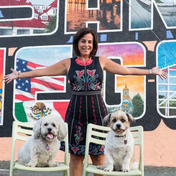 Anthropologie Maeve Swedish Design Holiday Dress - Picture 3 of 12